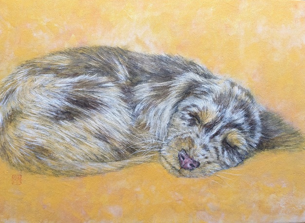 佐藤 龍生「微睡」4号F 紙本着彩