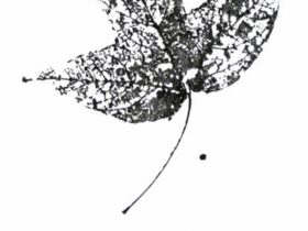 「松村武夫 里山 里浜の快感」高松市塩江美術館