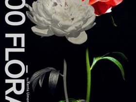 「100 FLŌRA by Kenta Umemoto」ISSEY MIYAKE KYOTO | KURA