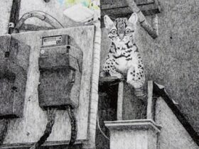 黒木リン「ハザマの世界」REIJINSHA GALLERY