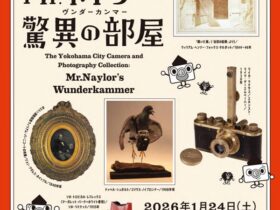 開館20周年記念「横浜市所蔵カメラ 写真コレクション展 Mr.ネイラーの驚異の部屋」横浜市民ギャラリーあざみ野