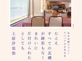 「上原沙也加　たとえすべての瓦礫が跡形もなくきれいに片付けられたとしても」横浜市民ギャラリーあざみ野
