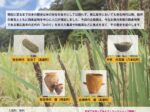 令和7年度出土文化財企画展「みのりを支えた道具たち」東広島市出土文化財管理センター