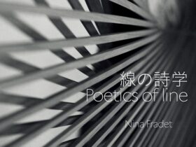 ニナ・フラデ 「線の詩学」東京日仏学院