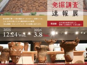第31回歴史企画展「出山遺跡発掘調査速報展」柏市郷土資料展示