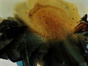 チェン・ジャン・ホン 鳳蓮 サイズ：80 × 100 cm 素材・技法：ミクストメディア