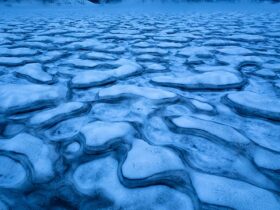 石田道行 写真展「Forest」京都写真美術館 ギャラリー ジャパネスク