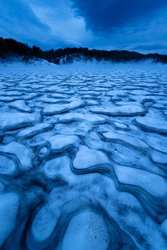 石田道行 写真展「Forest」京都写真美術館 ギャラリー ジャパネスク