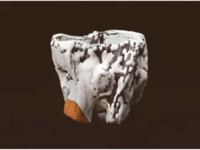 十三代 三輪休雪「エル キャピタン」 （幅16.6×奥行14.4×高さ14.4cm）