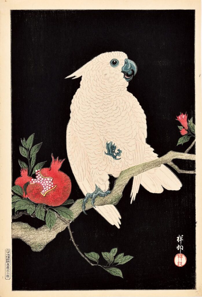 小原祥邨《柘榴に鸚鵡》昭和初期 渡邊木版美術画舗版