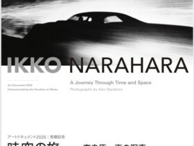 「アートドキュメント2025 受贈記念 時空の旅 奈良原一高の写真」金津創作の森美術館