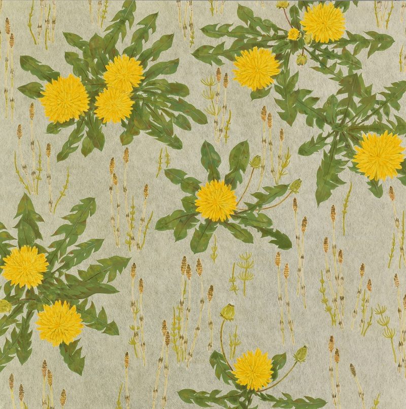 「ハルイロ」
⾦箔定色・岩絵具・神郷紙・典具帖紙
45.5 × 45.5 cm