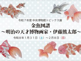 トピックス展「金魚図譜--明治の天才博物画家・伊藤熊太郎」千葉県立中央博物館