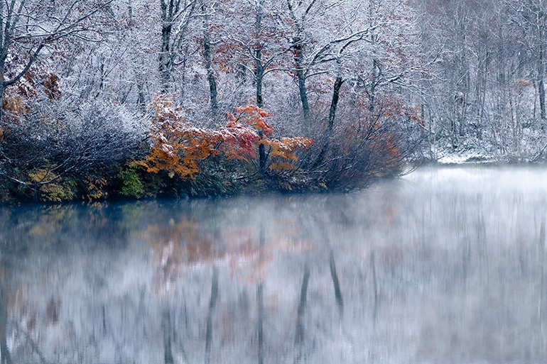 石田道行 写真展「Forest」京都写真美術館 ギャラリー ジャパネスク
