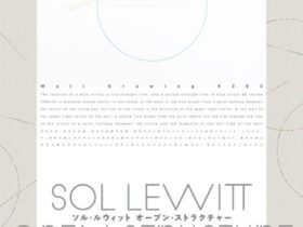 「ソル・ルウィット オープン・ストラクチャー」東京都現代美術館