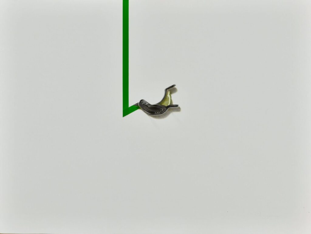 山本大也

Green bitter rays

サイズ：60.6 × 80.3 cm

素材・技法：パネル、キャンバス、油彩、鉛筆、顔料、ジェルメディゥム