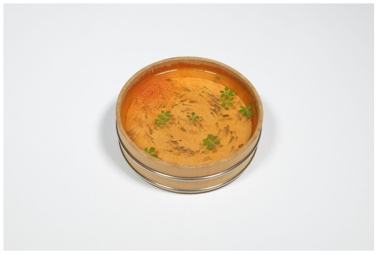 「星ノ子」
素材・技法：人間国宝 中川清司氏の木桶 超難黄変エポキシ樹脂 アクリル絵具
サイズ　　：径13.3×高さ4.5ⅽm