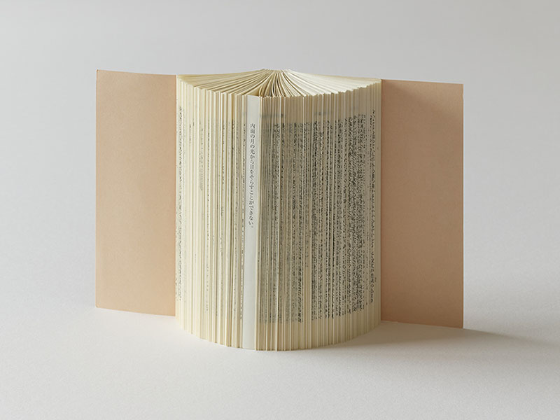 福田尚代《翼あるもの/岬より『楽しみと日々』》 2022年 頁を折り込まれた書物 作家蔵 撮影:高橋健治