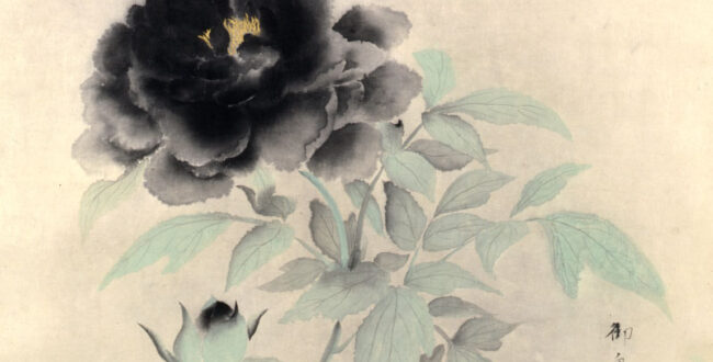 速水御舟《牡丹花(墨牡丹)》1934(昭和9)年　紙本・墨画彩色　山種美術館