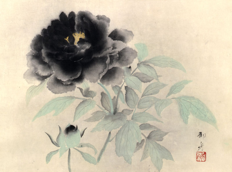 速水御舟《牡丹花(墨牡丹)》1934(昭和9)年　紙本・墨画彩色　山種美術館