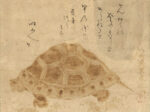 如秀「亀図」彌記繪菴