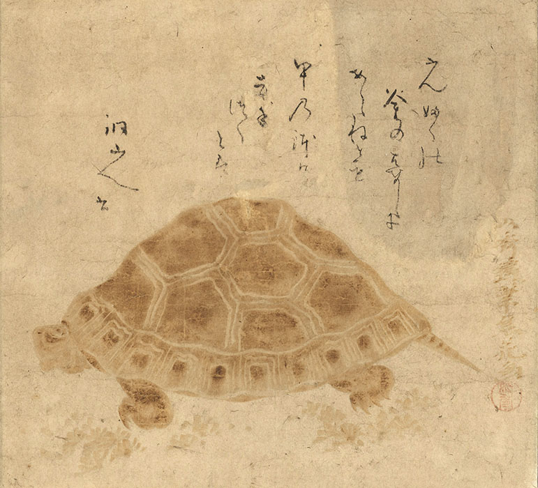 如秀「亀図」彌記繪菴