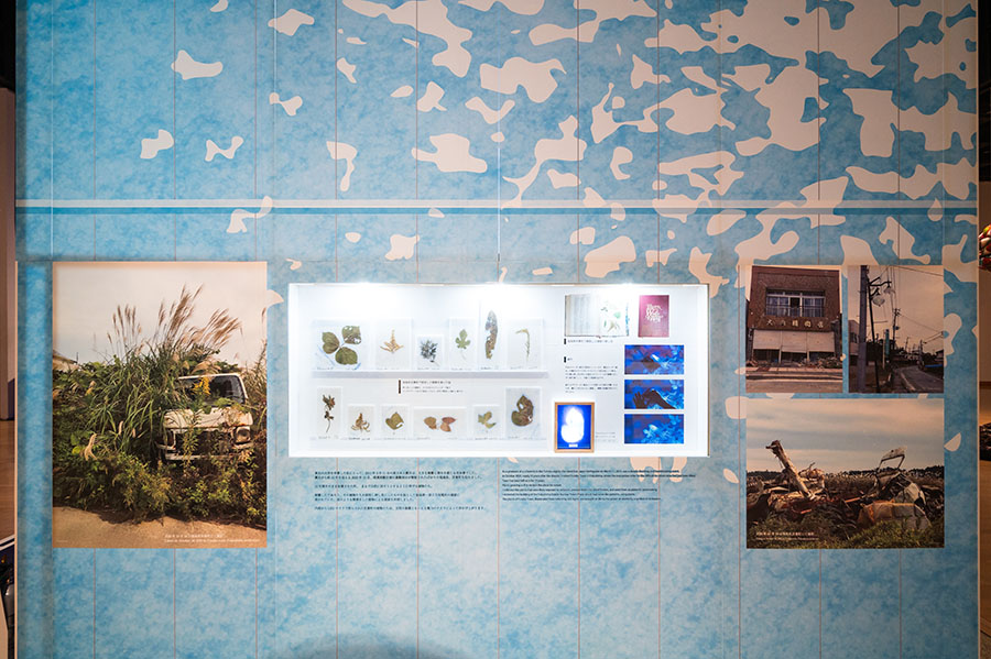 齋藤 玄輔《語り合う相手としての自然》
※第28回岡本太郎現代芸術賞 岡本敏子賞受賞作品