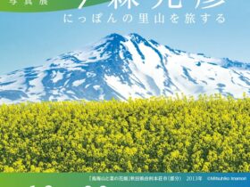 写真展「今森光彦　にっぽんの里山を旅する」美術館「えき」KYOTO
