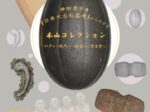 神田孝平著『日本大古石器考』からたどる本山コレクション 「- 江戸から現代へ 好古から考古学へ -」関西大学博物館
