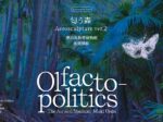 上田麻希「Aerosculpture ver.2『匂う森』」夢の島熱帯植物館