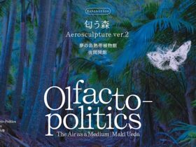上田麻希「Aerosculpture ver.2『匂う森』」夢の島熱帯植物館