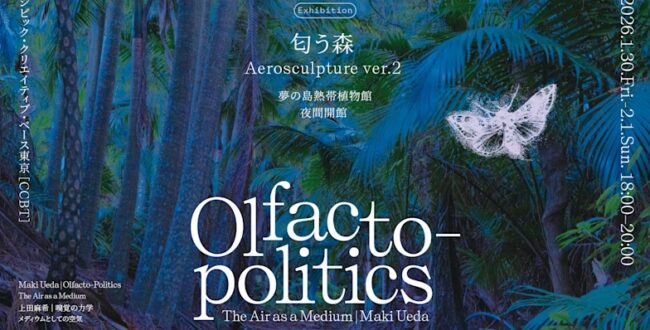 上田麻希「Aerosculpture ver.2『匂う森』」夢の島熱帯植物館