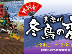 特別展「多摩川 冬鳥の変」府中市郷土の森博物館