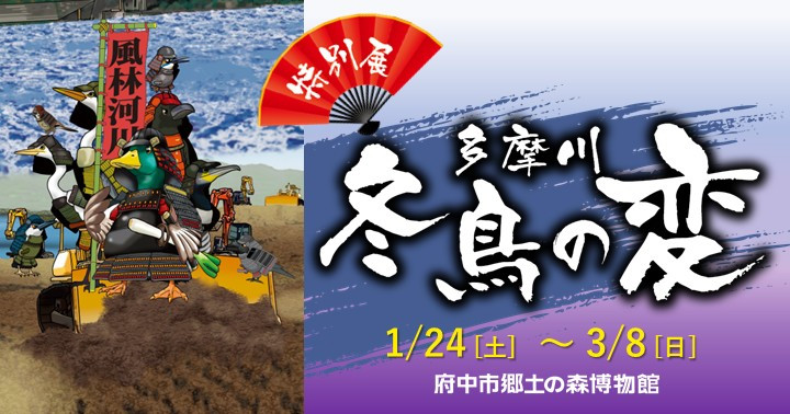 特別展「多摩川 冬鳥の変」府中市郷土の森博物館