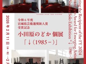 小田原のどか「↓（1985−）」塩竈市杉村惇美術館