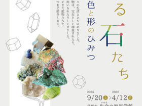 「彩る石たち 〜鉱物の色と形のひみつ〜」