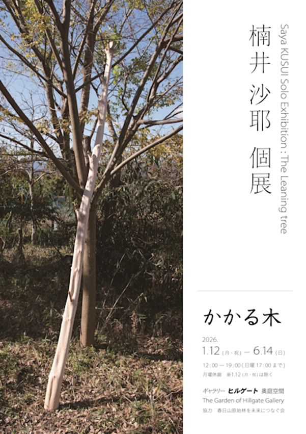 「かかる木」ギャラリーヒルゲート