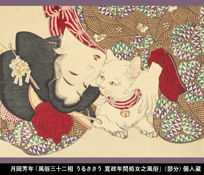 「Ukiyo-e猫百科 ごろごろまるまるネコづくし」美術館 えき KYOTO