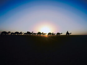 タウデニ　出発したキャラバンに朝日が昇る　（マリ）　2003年　撮影：片平孝