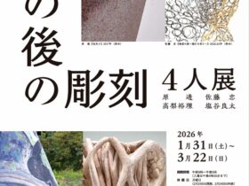 タッチアート「その後の彫刻4人展」川越市立美術館