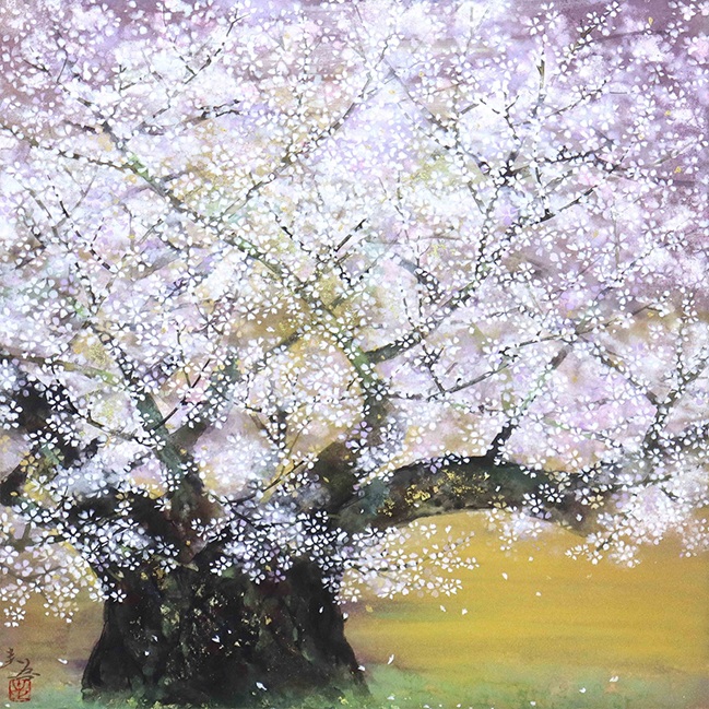 ［春］木村 圭吾 「淡墨桜」
日本画　33.0×33.0cm　共シール