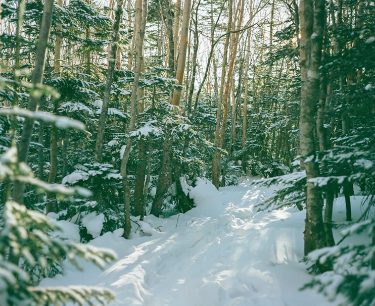 3人展「ふれる、みつめる、あるく。-Touching Viewing Wandering-」VALLOON STUDIO SHIBUYA