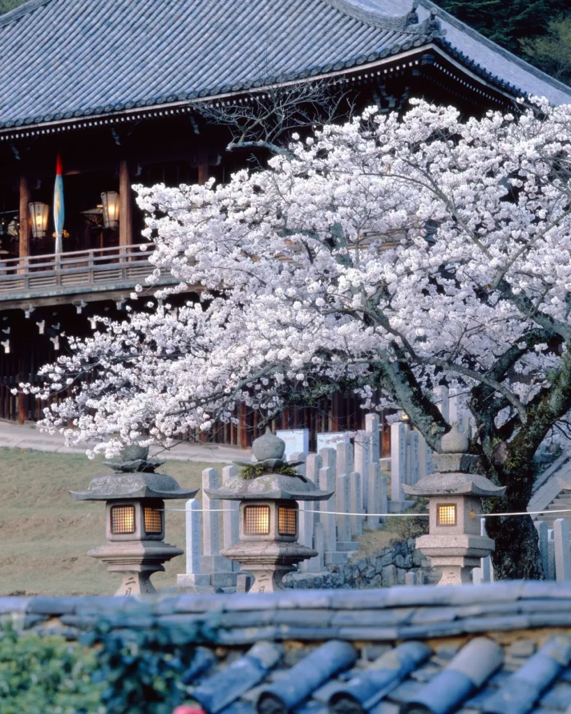 入江泰𠮷「二月堂春宵」1984年