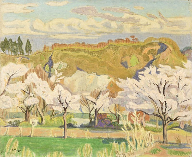 安井曽太郎≪桜と鉢形城址≫ 1945(昭和20)年頃 油彩、カンヴァス 60.2×72.7㎝