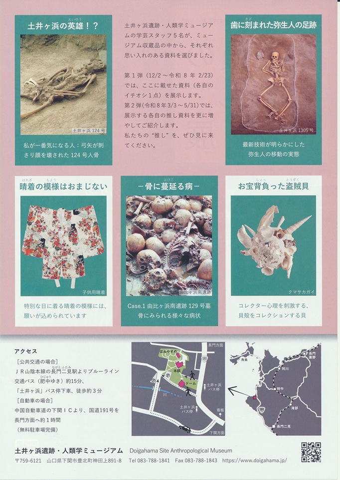 「学芸員の”推し”資料展」土井ヶ浜遺跡 人類学ミュージアム