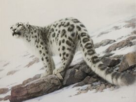 「雲の行方」 F30、油彩