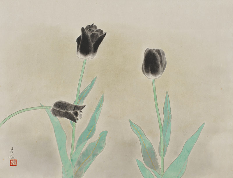 小林古径≪草花≫ 1951(昭和26)年　紙本彩色　48.7×63.5㎝